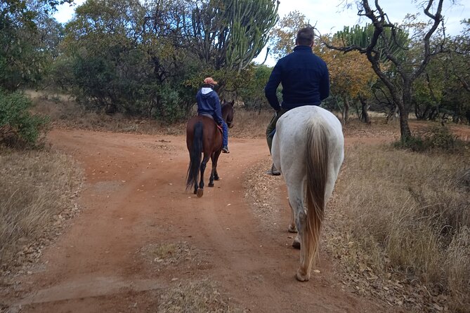 Harties Horse Trail Safari Half Day - Good To Know