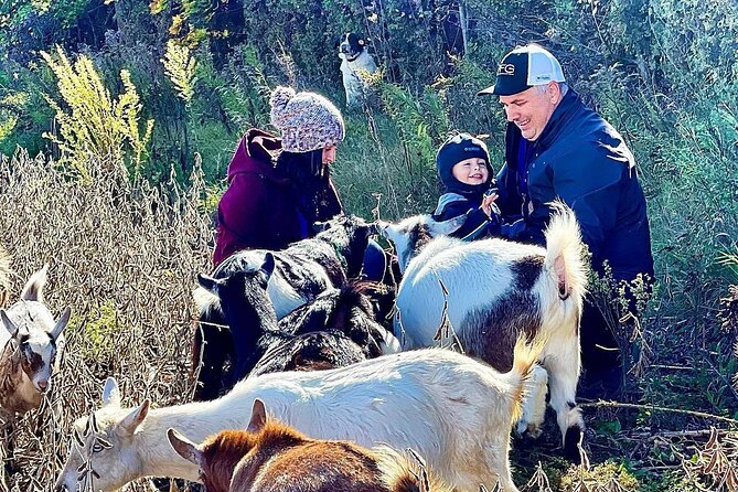 Haute Goat Shmurgle in Ontario - Good To Know