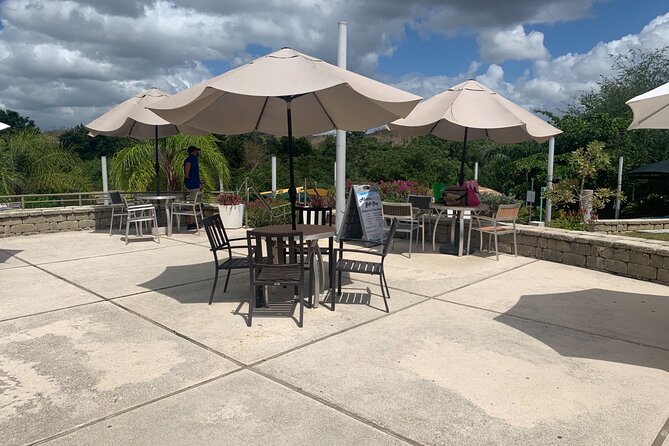 Healing Retreat, Beach and Bio Bay Tour in Puerto Rico - Tour Overview