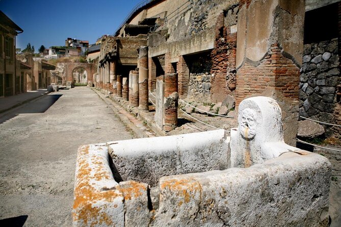 Herculaneum 3D Skip the Line Walking Tour - Good To Know