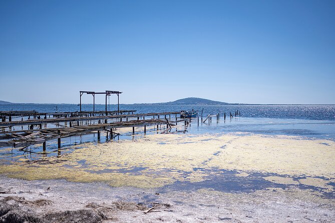Highlights of Sète Food and Wine Tour Review - Key Points