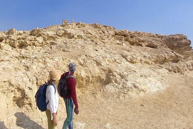 Hiking Adventure in the Heart of Cairo - Discover Wadi Degla Protectorate