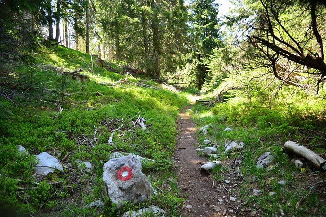 Hiking Cvrsnica Mountain