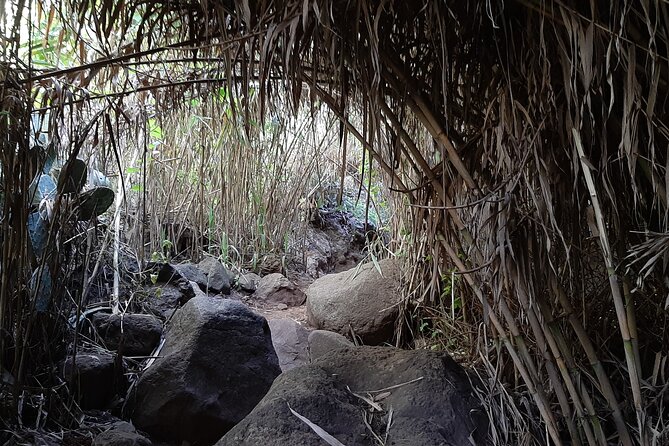 Hiking in Waterfalls & Rainforest by 2 Native Guides - Meeting Location Options
