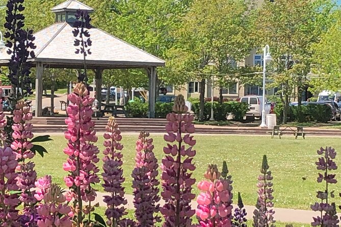 Historic Walking Tour of Charlottetown - Good To Know