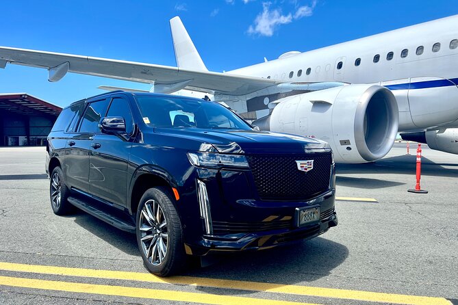 Honolulu Private Transfer to Airport/Port/Hotel (1-12 Passenger) - Good To Know
