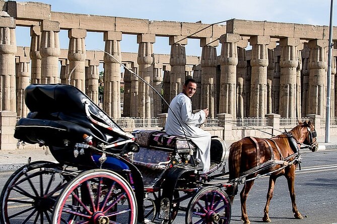 Horse Carriage City Tour in Luxor City With Meal and Soft Drink - Good To Know