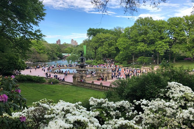 Horse Carriage Ride To/From Tavern on the Green (Up to 4 Adults) - Experience Overview