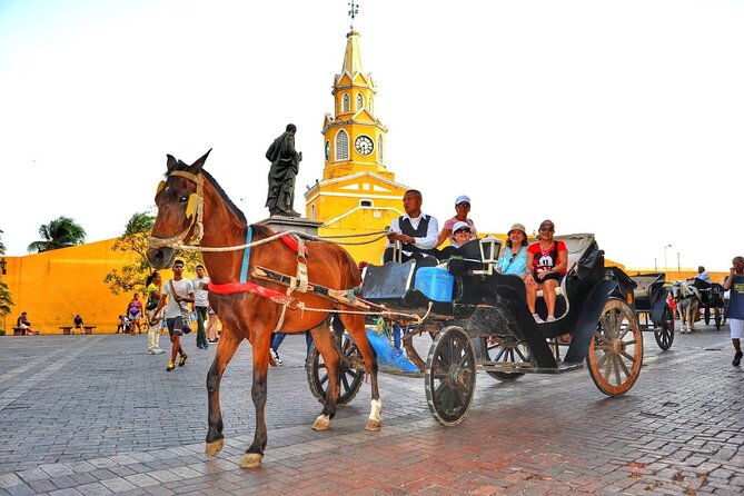 Horse Carriage Ride - About Your Stay