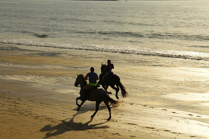 Horse Ride in Taghazout or Agadir - Key Points
