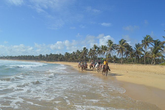 Horse Riding (1 Hour) - Good To Know