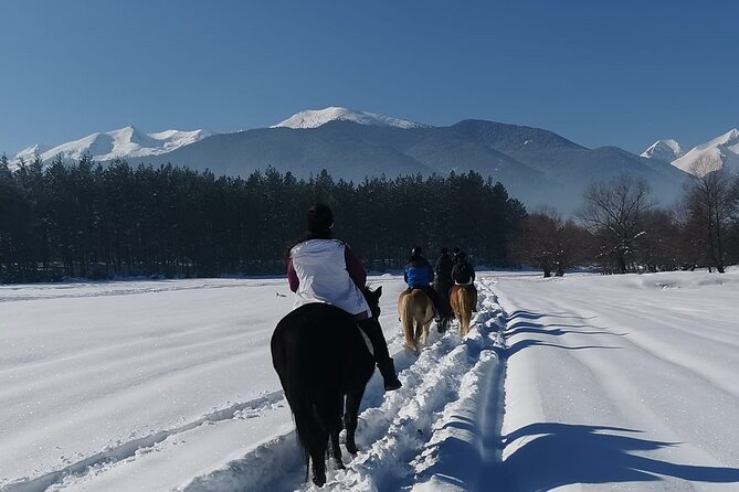 Horse Riding Experience From Bansko - Key Points