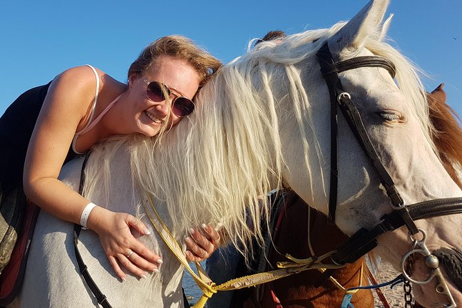 Horse Riding Tour on The Red Sea And Desert & Transfer-Hurghada - Good To Know