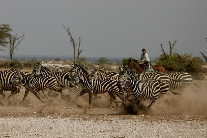 Horse Safaris in Tanzania - Good To Know