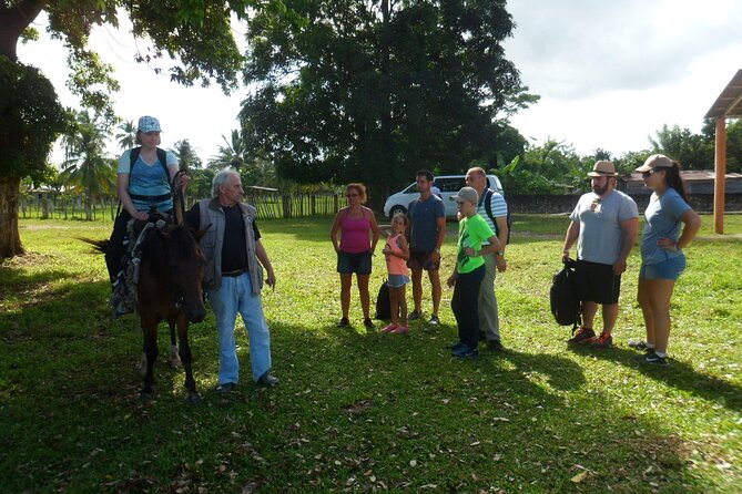 Horseback Riding Across Indigenous Trails Puerto Plata - Good To Know