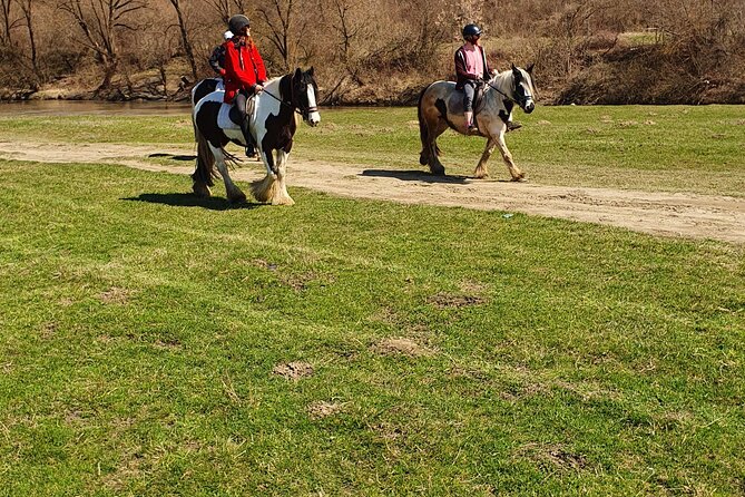 Horseback Riding Adventure Tour Through Brasov Landscape - Good To Know