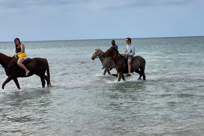 Horseback Riding and Swimming in Ocho Rios - Location and Accessibility