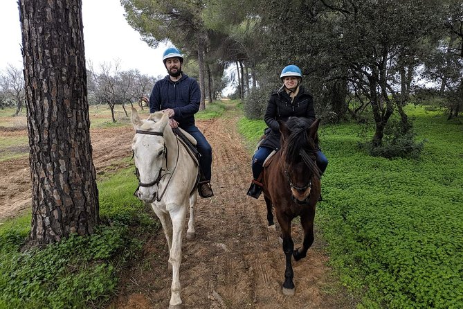 Horseback Riding Exclusive for Couples, in Doñana Natural Park, Seville - Key Points