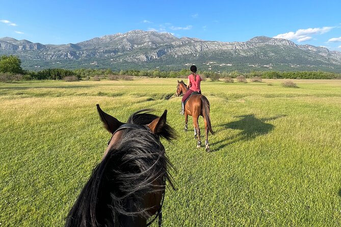 Horseback Riding Experience With Transport From Dubrovnik - Overview of the Experience