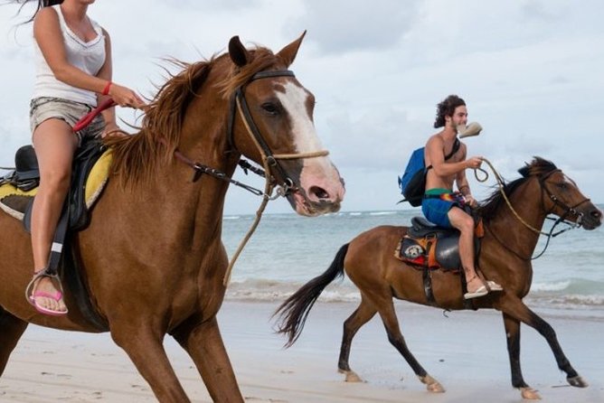 Horseback Riding in Punta Cana - Key Points
