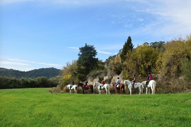 Horseback Riding in Randa Valleys, Mallorca, Spain - Good To Know