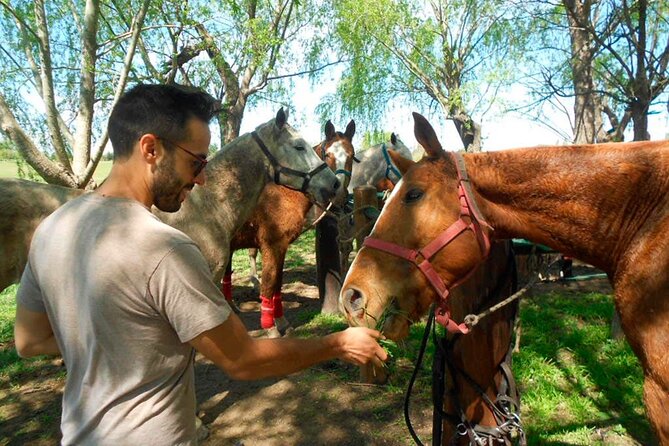 Horseback Riding Tour and Polo in Argentine Countryside