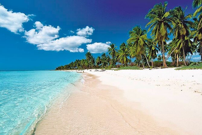 Horseback Riding Tour From Punta Cana - Tour Overview