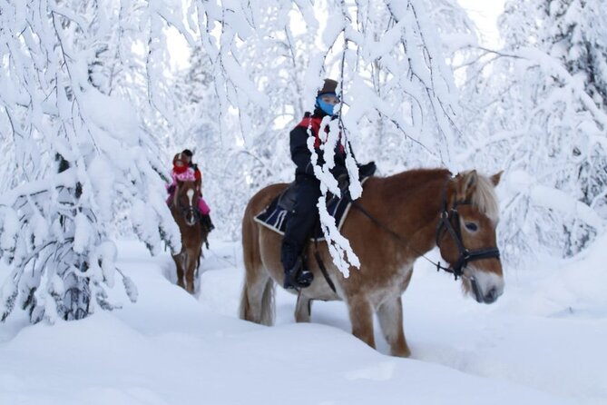 Horseback Riding Tour in Levi - Key Points