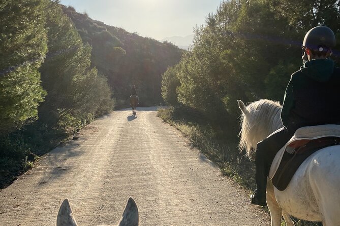 Horseback Riding With Certified Guide Review - Key Points