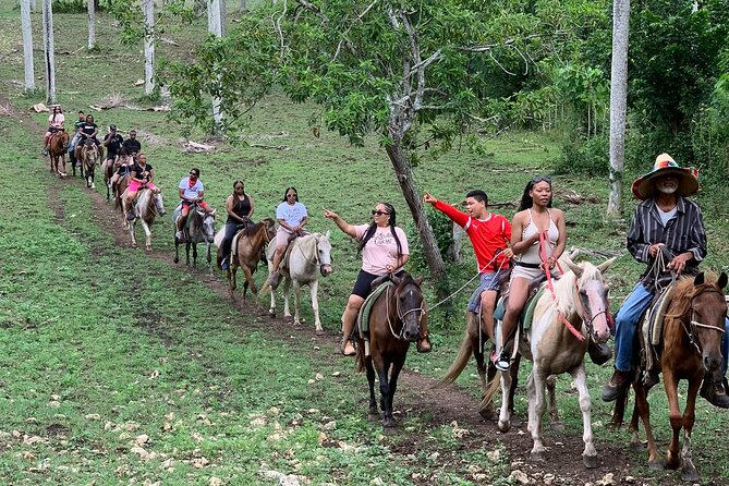 Horseback Riding With Pickup From Punta Cana - Good To Know