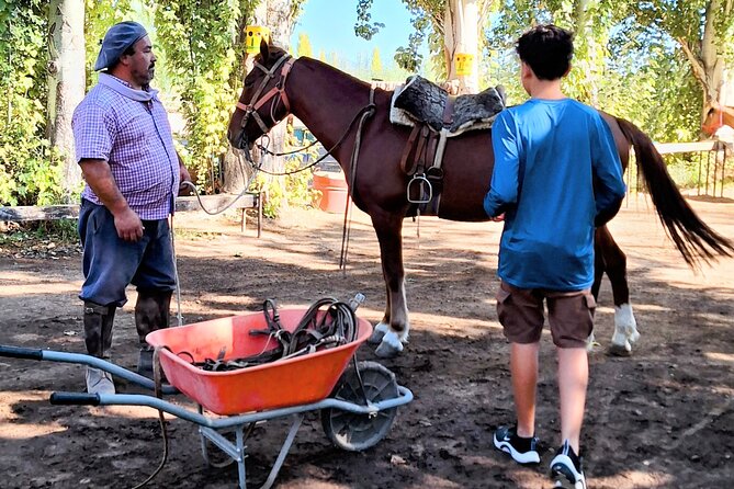 Horsebackriding and Lunch With Transfer Included - Overview of the Experience