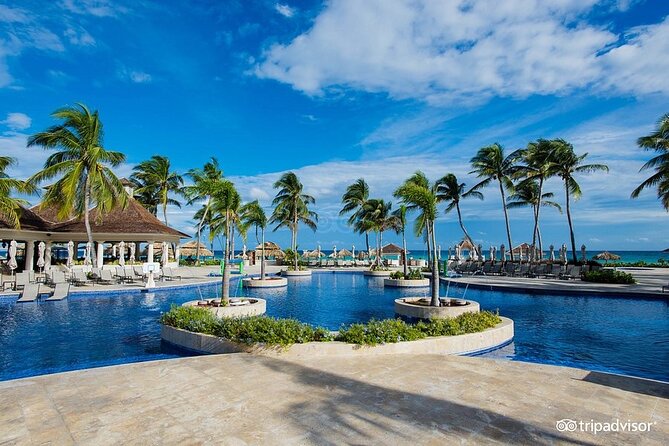 Hyatt Zilara Rose Hall Resort Private Airport Transfer - Service Overview