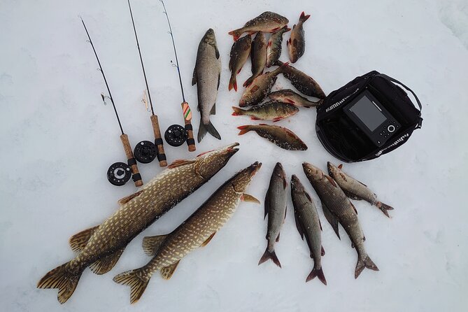 Ice Fishing Trip at Lake Inari - Key Points