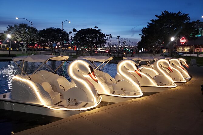 Illuminated Swan Boat Night Ride on Rainbow Lagoon - Good To Know
