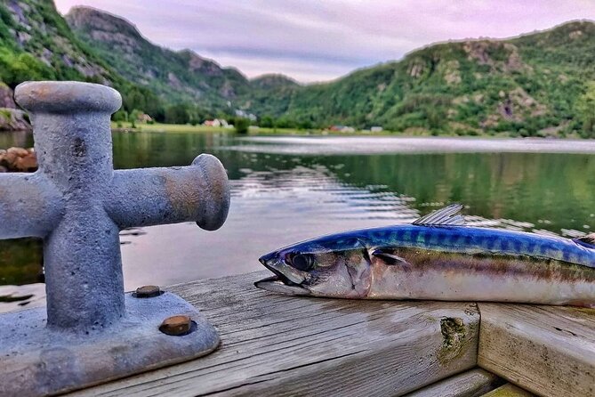 Inshore Fishing in the Drangefjord - Good To Know