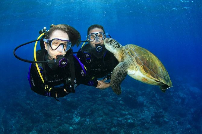 Intro Scuba Diving Experience in Hurghada - Good To Know