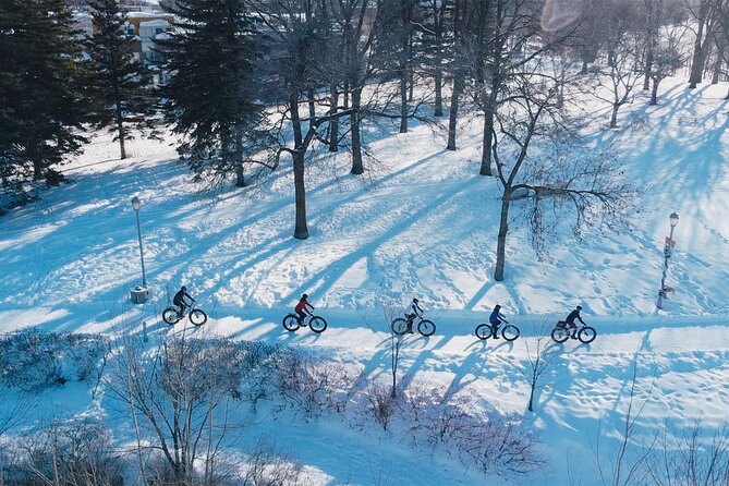 Introduction to Fat Biking Activity in Quebec City - Good To Know