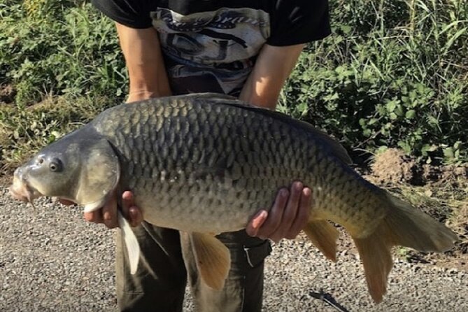 Introduction to Fishing in Strasbourg - Good To Know