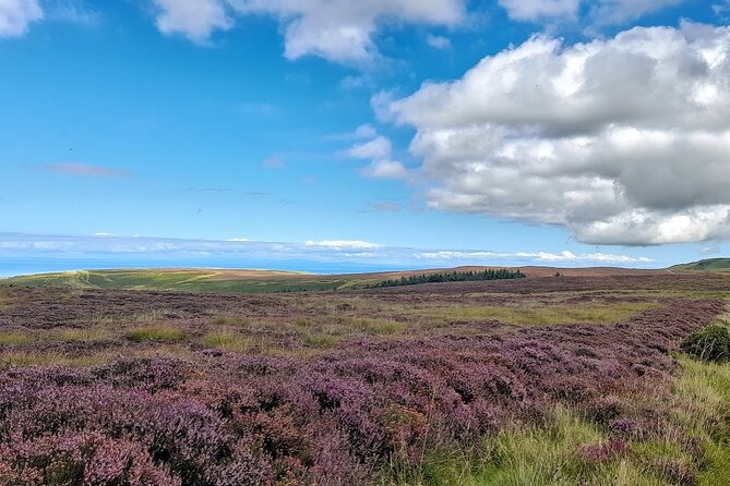 Isle of Man Discovery Tour Review - Tour Overview