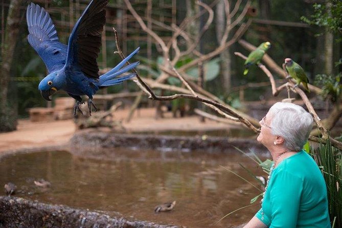 Itaipu Dam & Bird Park & Iguassu Falls Brazilian Side From Puerto Iguazu Hotels - Good To Know