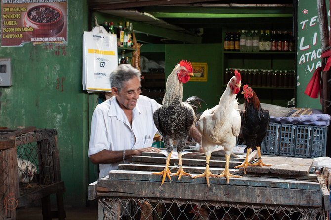 Ivan Bahia, Salvador Da Bahia, a Charming Social Tour to Meet Locals - About Your Stay