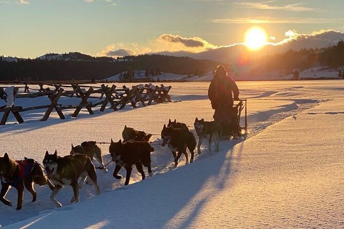Jackson Hole Full-Day Dog Sledding and Snowmobiling Combo Trip - Good To Know