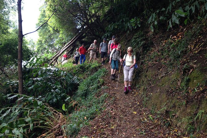 Join Us for the Amazing Sanguinho Forest Walk - Key Points