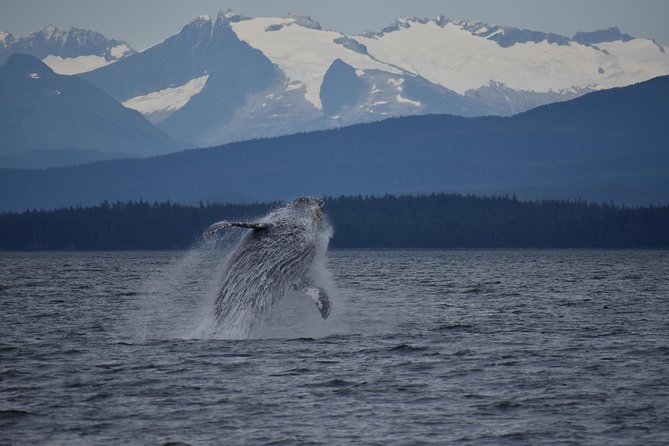 Juneau by Land & Sea - Good To Know