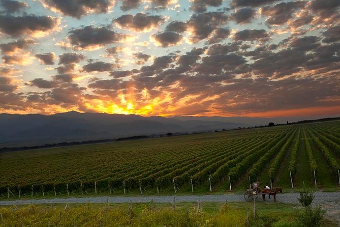 Kakheti Wine Tour Review: A Memorable Experience - Key Points
