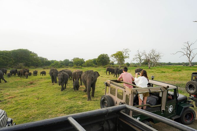 Kaudulla National Park Elephant Safari With Hotel Pickup - Good To Know