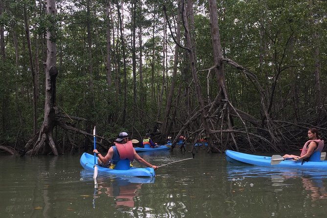 Kayak in the Mangrove - Good To Know