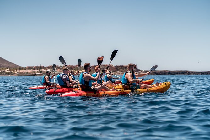 Kayak Safari & Snorkel - Exploring the Coastline