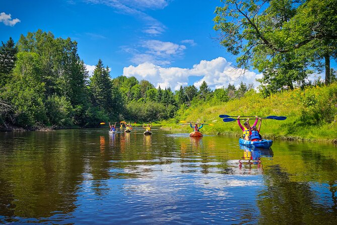 Kayak & Summit Tour - Ottawa Day Trip - Good To Know
