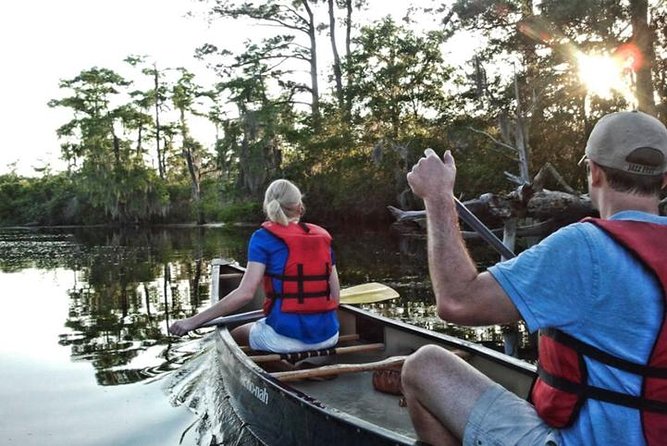 Kayak Swamp Tour With Transportation From New Orleans - Overview of the Tour